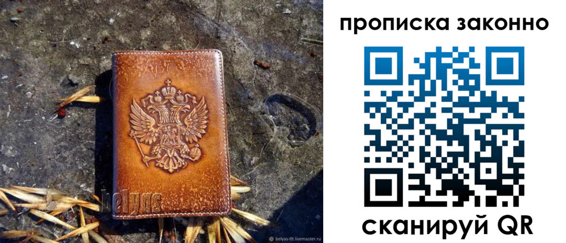прописка паспорт в Светлогорске